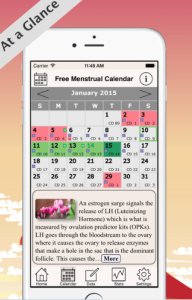 Menstrual-Calendar